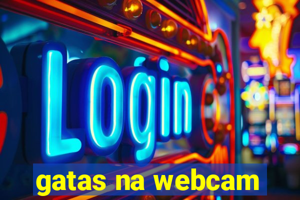 gatas na webcam