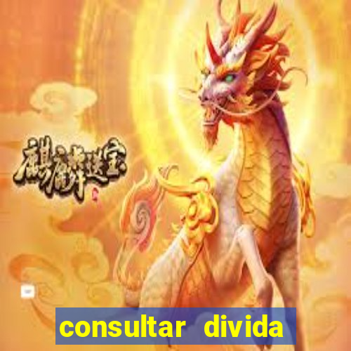 consultar divida casas bahia
