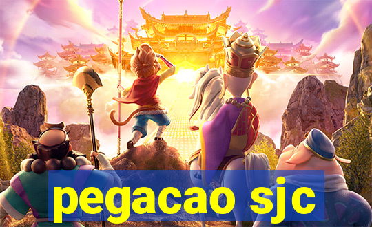 pegacao sjc