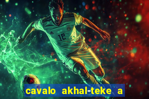 cavalo akhal-teke a venda no brasil cavalo akhal teke no