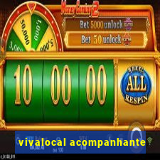 vivalocal acompanhante