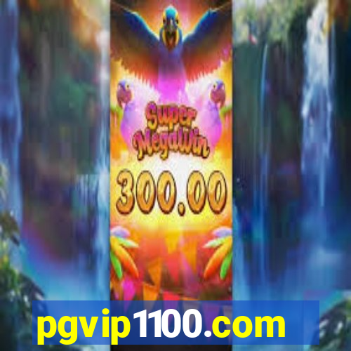pgvip1100.com