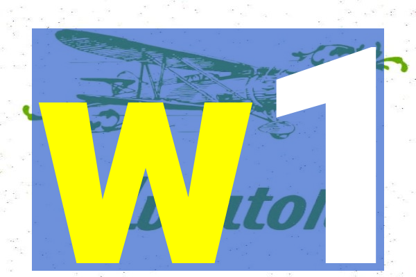 w1-s-maxpg.com