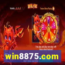 win8875.com