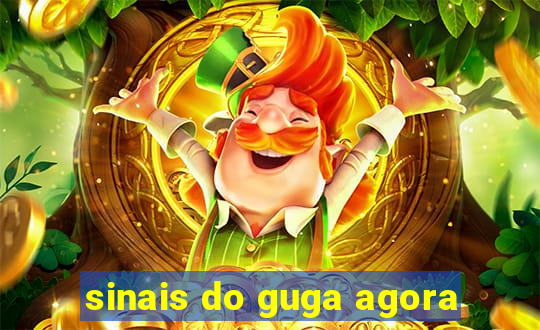 sinais do guga agora