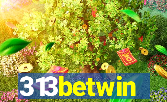 313betwin