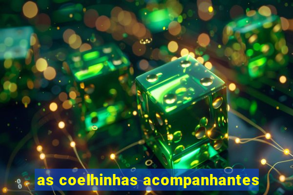 as coelhinhas acompanhantes