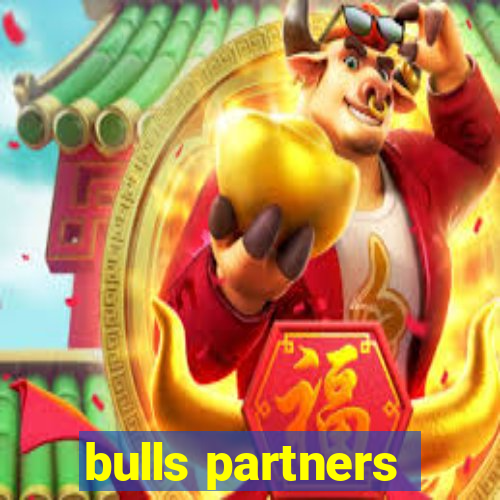 bulls partners