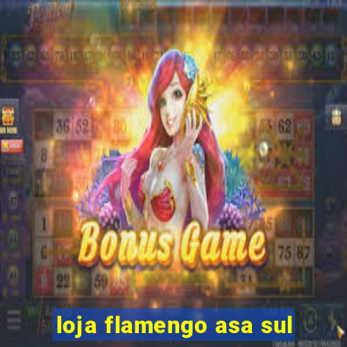 loja flamengo asa sul