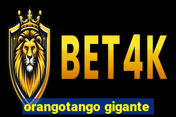 orangotango gigante