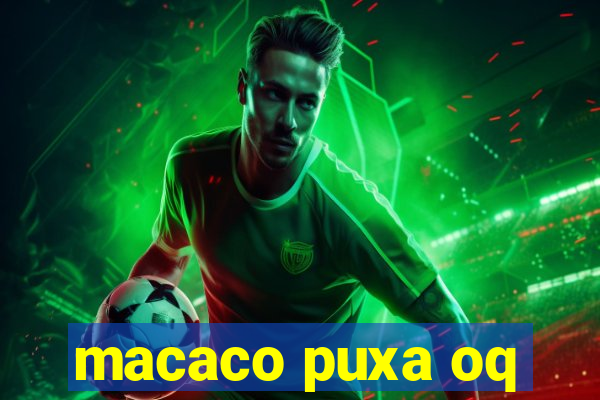 macaco puxa oq
