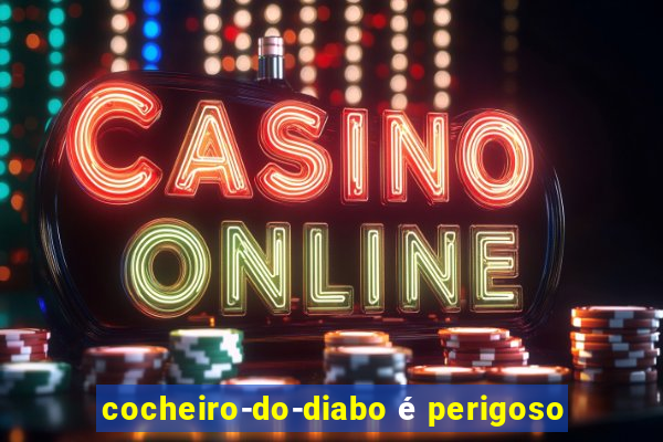 cocheiro-do-diabo é perigoso