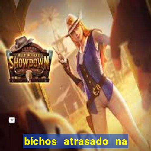 bichos atrasado na loteria dos sonhos