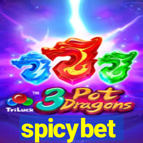 spicybet-2.com