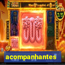 acompanhantes travestis bh