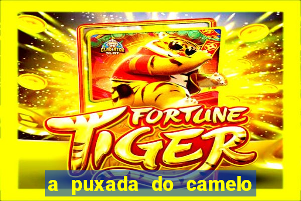 a puxada do camelo no jogo do bicho