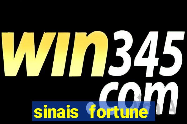 sinais fortune rabbit
