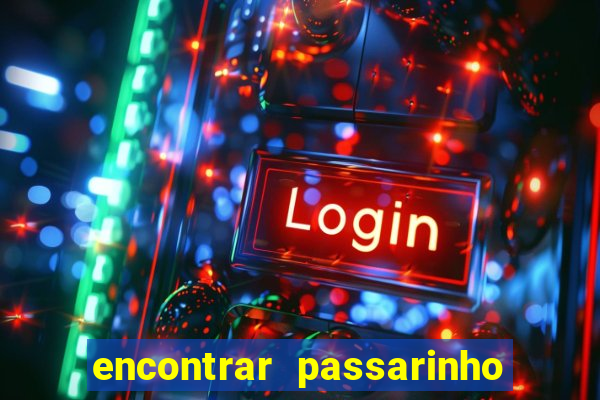 encontrar passarinho morto significado