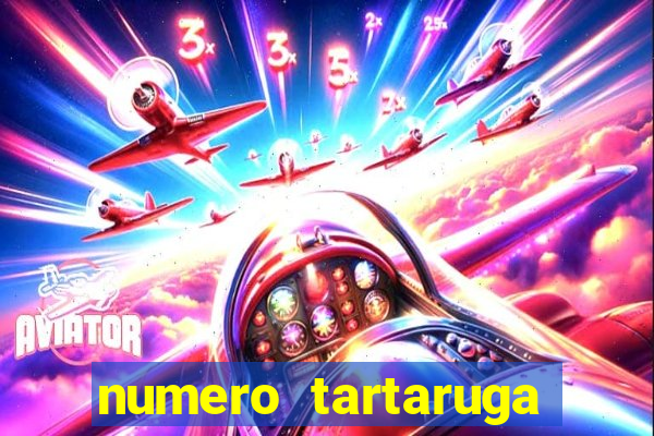numero tartaruga jogo do bicho