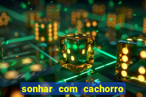 sonhar com cachorro morto jogo do bicho