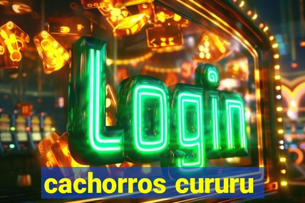 cachorros cururu